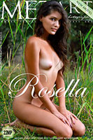 Met-Art.com presents brunette beauty Rosella