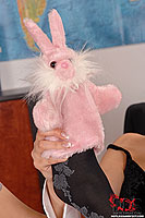 pink bunny