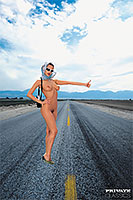 naked hitchhiker Michelle Wild